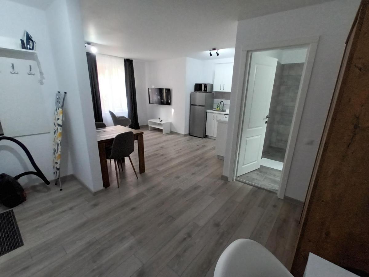 Old Town Studio Apartments Baia Mare Extérieur photo
