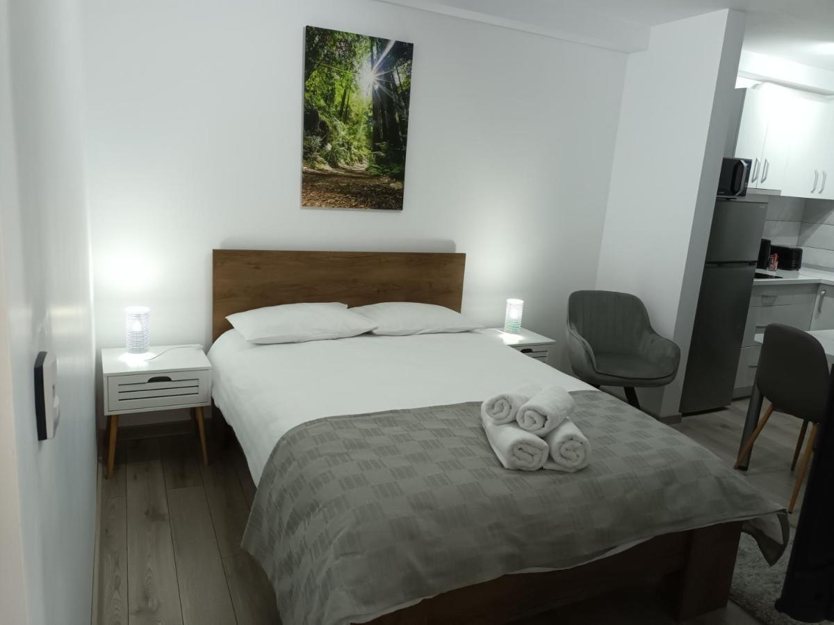 Old Town Studio Apartments Baia Mare Extérieur photo