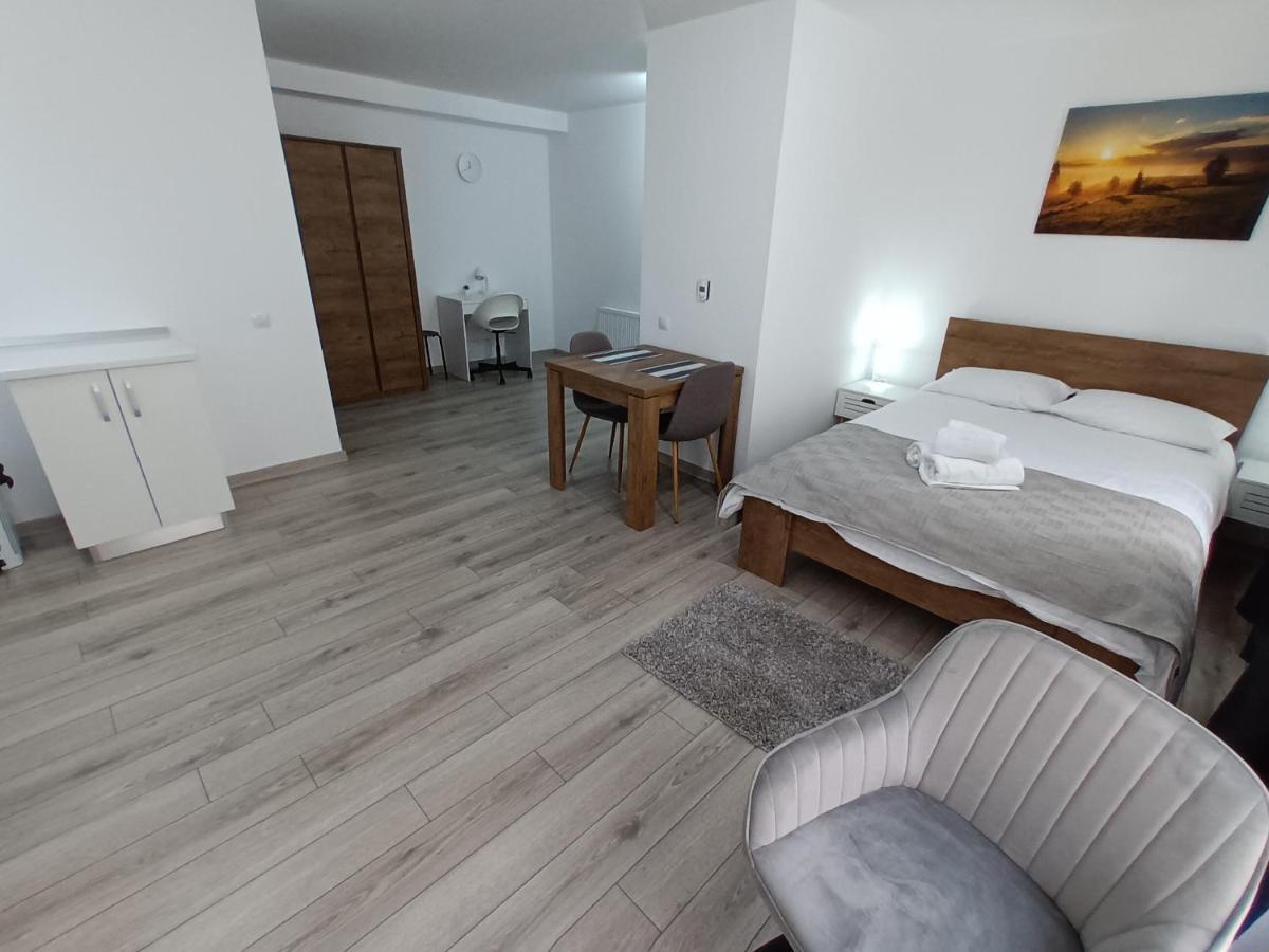 Old Town Studio Apartments Baia Mare Extérieur photo