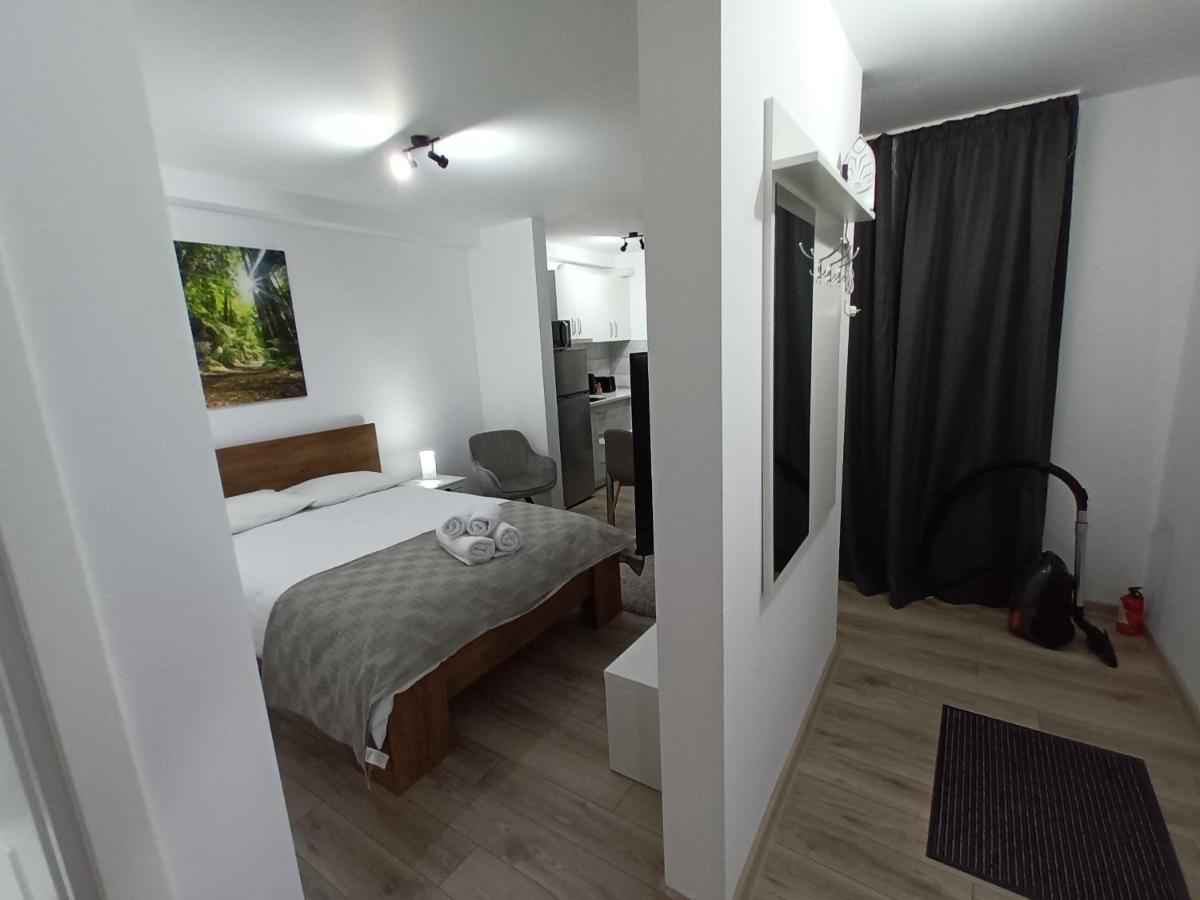 Old Town Studio Apartments Baia Mare Extérieur photo
